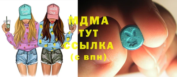 шишки Гусиноозёрск