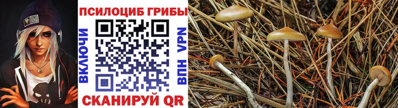 ссылка на мегу как зайти  Ступино  Псилоцибиновые грибы мицелий  закладки 